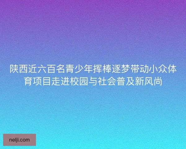 陕西近六百名青少年挥棒逐梦带动小众体育项目走进校园与社会普及新风尚