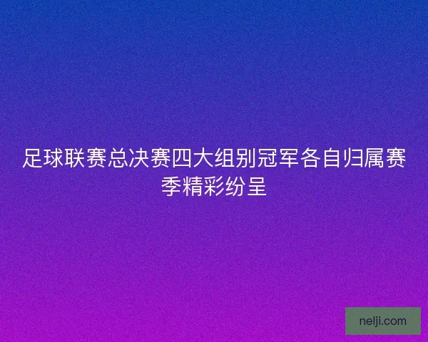 足球联赛总决赛四大组别冠军各自归属赛季精彩纷呈